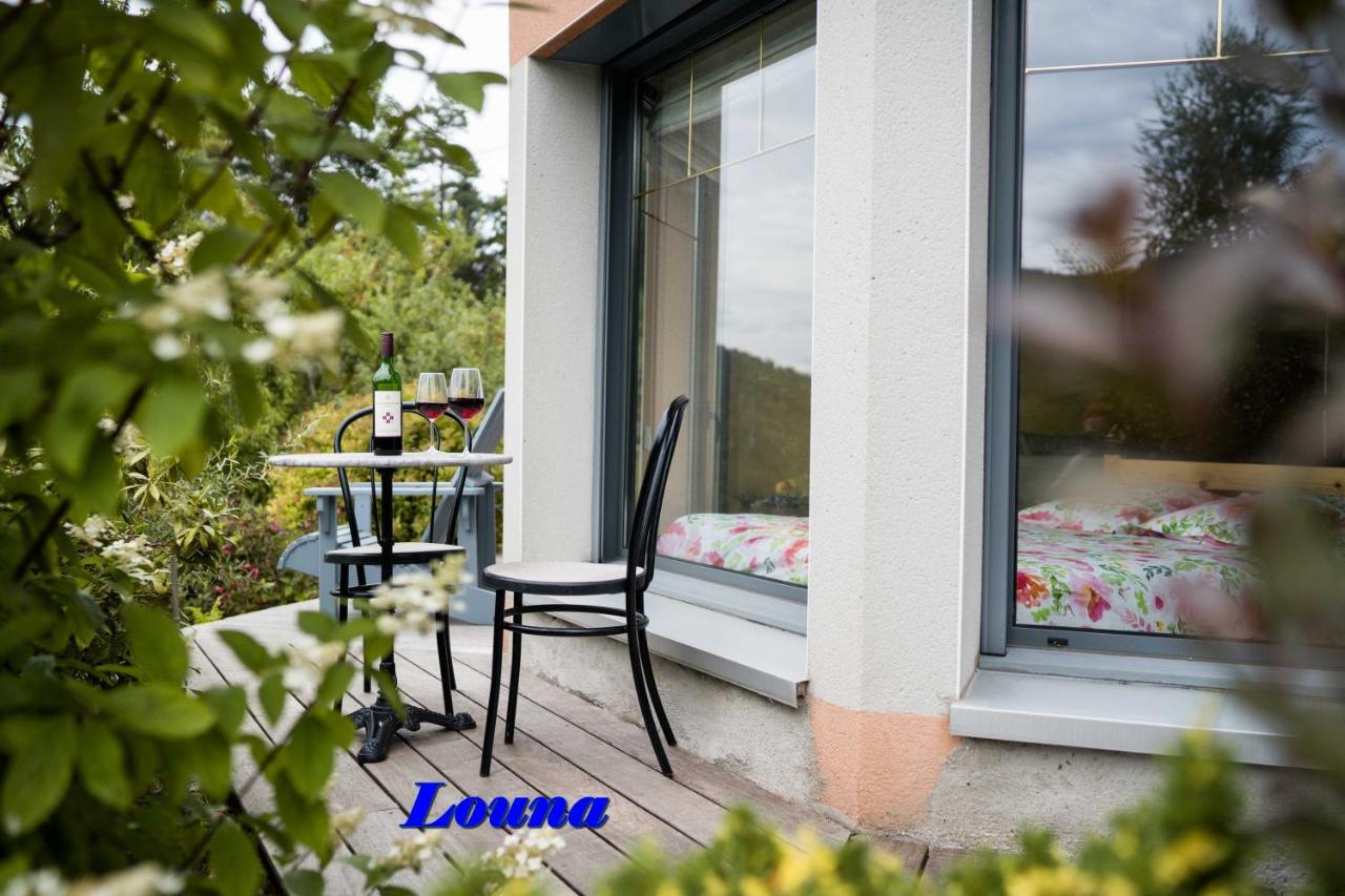 Appartements 5 Personnes Maya Et Louna Xonrupt-Longemer Luaran gambar
