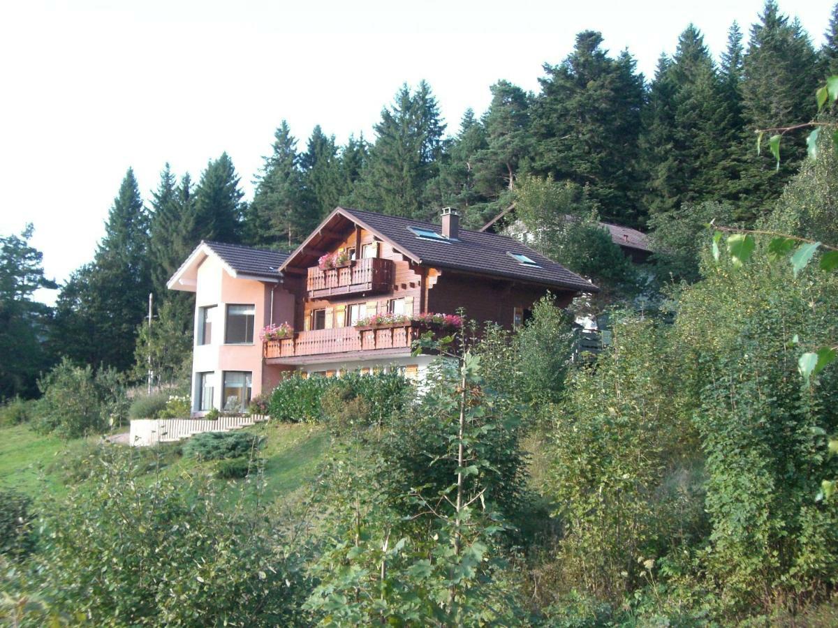Appartements 5 Personnes Maya Et Louna Xonrupt-Longemer Luaran gambar