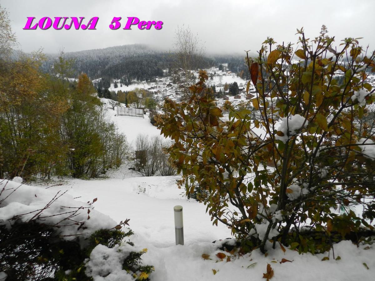 Appartements 5 Personnes Maya Et Louna Xonrupt-Longemer Luaran gambar