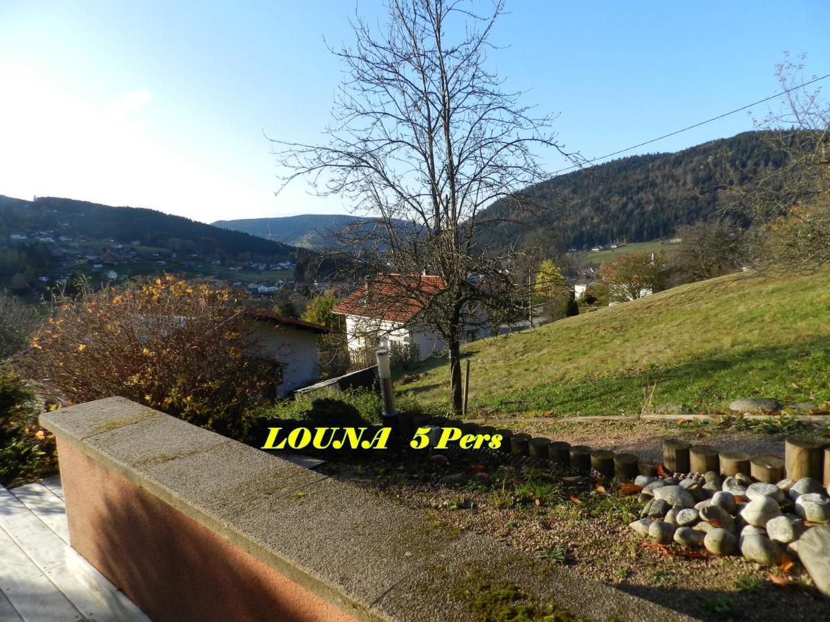 Appartements 5 Personnes Maya Et Louna Xonrupt-Longemer Luaran gambar
