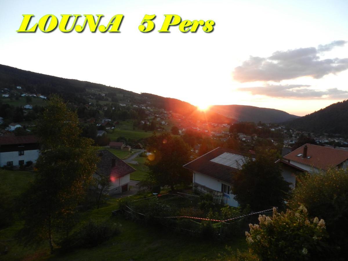 Appartements 5 Personnes Maya Et Louna Xonrupt-Longemer Luaran gambar