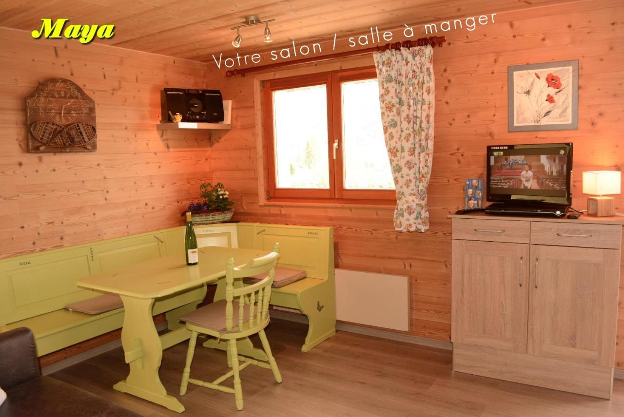 Appartements 5 Personnes Maya Et Louna Xonrupt-Longemer Luaran gambar